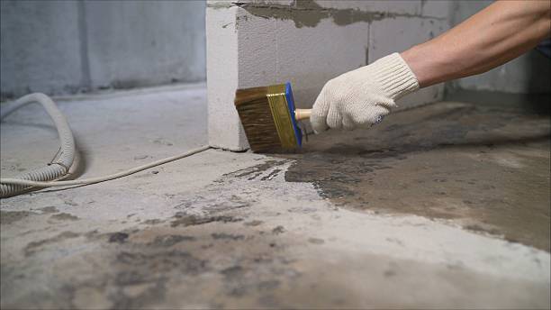 SJ Waterproofing Pros Waterproofing coverage map for Lyndonville, NY and surrounding area